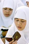 20060528080300-shador01.jpg