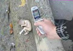 20060528101820-phone1ty.jpg